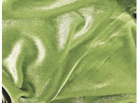 PE Stretch-Samt  hellgrün